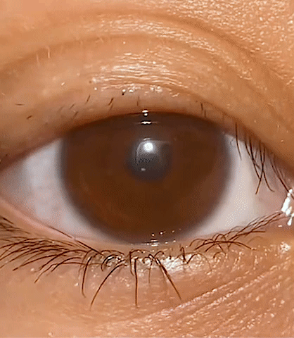 Eyebrow Serum - Lash Serum