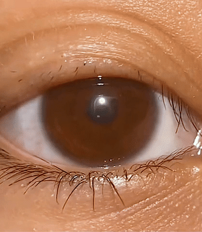 Eyelash Serum